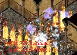 ��ο���������ս��ְҵ�����ս�����ȼ���