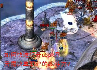 ��ο�������u8pk����ħ����ְҵ��ս������