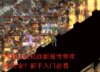 ��Ѫ��ս��ս�·����湥�Դ�ȫ���������űؿ�