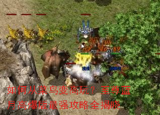 ��δӲ������棿�������¸߱�����ǿ����ȫ����