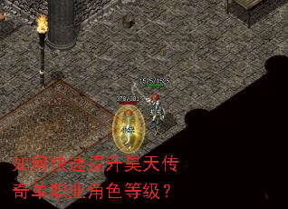 ��ο���������촫�浥ְҵ��ɫ�ȼ���