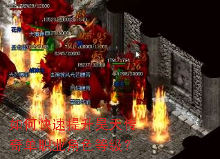��ο���������촫�浥ְҵ��ɫ�ȼ���