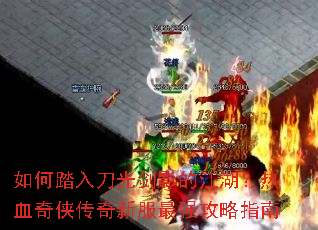 ���̤�뵶�⽣Ӱ�Ľ�������Ѫ���������·���ǿ����ָ��