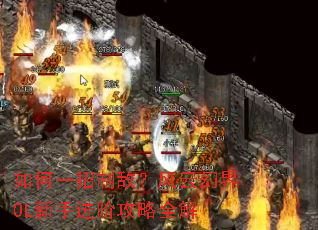 ���һ���ƵУ����ƻý�OL���ֽ��׹���ȫ��