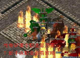 ����SF�ĸ�ְҵ������������ѡְҵ�ؿ�����