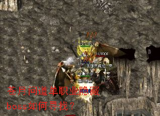 �����ʵ���ְҵ����boss���Ѱ�ң�