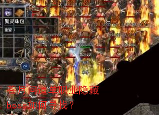 �����ʵ���ְҵ����boss���Ѱ�ң�