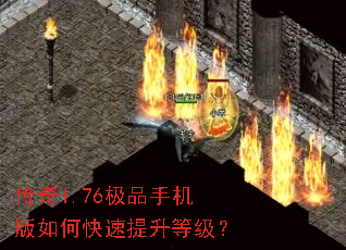 ����1.76��Ʒ�ֻ�����ο��������ȼ���