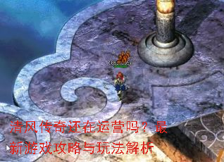 ��紫�滹����Ӫ��������Ϸ�������淨����