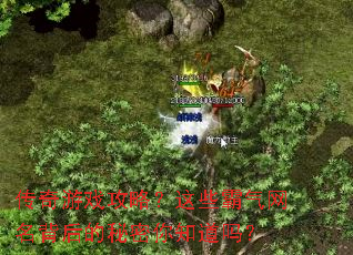 传奇游戏攻略?这些霸气网名背后的秘密你知道吗? 传奇游戏攻略?这些霸气网名背后的秘密你知道吗?