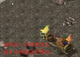 如何在1.85传奇复古版本中快速提升等级? 如何在1.85传奇复古版本中快速提升等级?