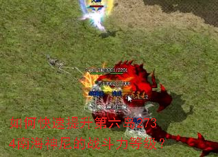 如何快速提升第六岛2734南海神尼的战斗力等级? 如何快速提升第六岛2734南海神尼的战斗力等级?