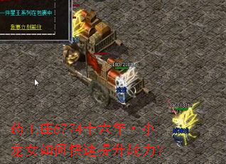 药王庄6774十六年·小龙女如何快速提升战力? 药王庄6774十六年·小龙女如何快速提升战力?