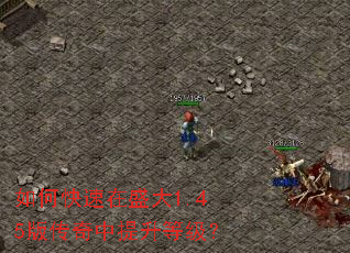 如何快速在盛大1.45版传奇中提升等级? 如何快速在盛大1.45版传奇中提升等级?