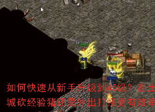 如何快速从新手升级到45级?在土城砍经验猪还是外出打怪更有效率? 如何快速从新手升级到45级?在土城砍经验猪还是外出打怪更有效率?
