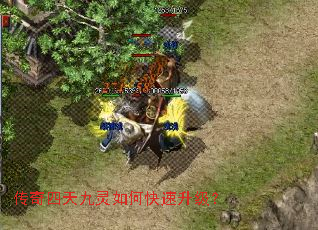 传奇四天九灵如何快速升级? 传奇四天九灵如何快速升级?
