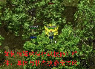 如何选择终极神级技能?群体、单体与状态技能全攻略 如何选择终极神级技能?群体、单体与状态技能全攻略