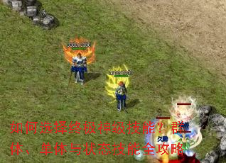 如何选择终极神级技能?群体、单体与状态技能全攻略 如何选择终极神级技能?群体、单体与状态技能全攻略