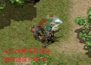 红月传奇手机版如何快速提升战力? 红月传奇手机版如何快速提升战力?