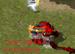 古帝墓一层爆率真的与古龙岛相同吗? 古帝墓一层爆率真的与古龙岛相同吗?