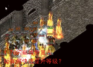 1.76闪耀传奇复古版如何快速提升等级? 1.76闪耀传奇复古版如何快速提升等级?