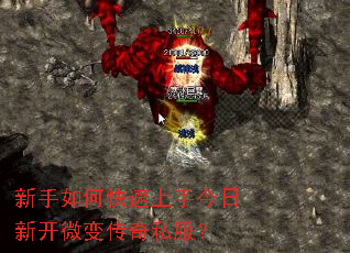 新手如何快速上手今日新开微变传奇私服? 新手如何快速上手今日新开微变传奇私服?