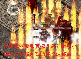 传奇私服新服震撼开启?新手小白必看攻略问答助你快速称霸 传奇私服新服震撼开启?新手小白必看攻略问答助你快速称霸