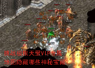 挑战极限天罡VIP专属地图隐藏哪些神秘宝藏? 挑战极限天罡VIP专属地图隐藏哪些神秘宝藏?