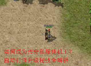 如何成为传奇私服挂机王?自动打怪升级秘技全解析 如何成为传奇私服挂机王?自动打怪升级秘技全解析