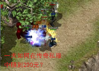 一天如何在传奇私服中赚到200元? 一天如何在传奇私服中赚到200元?