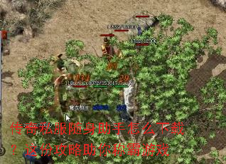 传奇私服随身助手怎么下载?这份攻略助你称霸游戏 传奇私服随身助手怎么下载?这份攻略助你称霸游戏