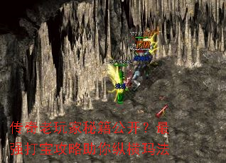 传奇老玩家秘籍公开?最强打宝攻略助你纵横玛法 传奇老玩家秘籍公开?最强打宝攻略助你纵横玛法