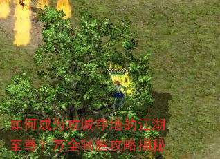 ��γ�Ϊ���Ƕ�صĽ���������ȫ��ʤ���Խ���