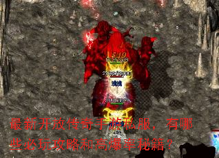 ���¿��Ŵ�������˽��������Щ���湥�Ժ͸߱����ؼ���