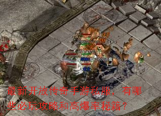���¿��Ŵ�������˽��������Щ���湥�Ժ͸߱����ؼ���