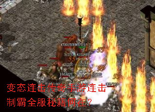 ��̬�����������������ư�ȫ���ؼ����ڣ�