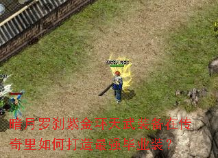 暗月罗刹紫金环天武装备在传奇里如何打造最强毕业装? 暗月罗刹紫金环天武装备在传奇里如何打造最强毕业装?