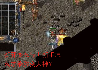 新开变态传世新手怎么才能秒变大神? 新开变态传世新手怎么才能秒变大神?