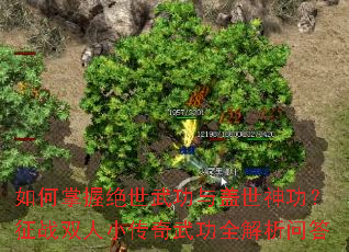 如何掌握绝世武功与盖世神功?征战双人小传奇武功全解析问答 如何掌握绝世武功与盖世神功?征战双人小传奇武功全解析问答