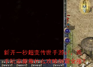 新开一秒超变传世手游sf,高手玩家都靠什么攻略制霸全服? 新开一秒超变传世手游sf,高手玩家都靠什么攻略制霸全服?