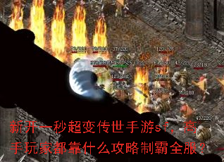 新开一秒超变传世手游sf,高手玩家都靠什么攻略制霸全服? 新开一秒超变传世手游sf,高手玩家都靠什么攻略制霸全服?