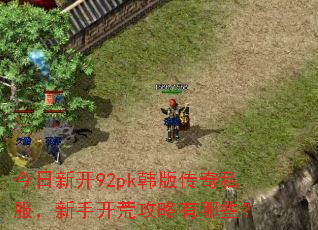 今日新开92pk韩版传奇私服,新手开荒攻略有哪些? 今日新开92pk韩版传奇私服,新手开荒攻略有哪些?