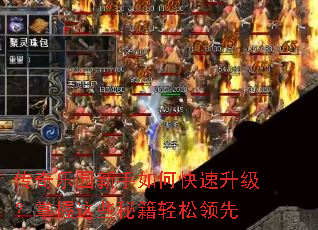 传奇乐园新手如何快速升级?掌握这些秘籍轻松领先 传奇乐园新手如何快速升级?掌握这些秘籍轻松领先