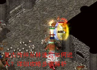 复古传神丛林迷宫如何进入?详细攻略步骤解析 复古传神丛林迷宫如何进入?详细攻略步骤解析
