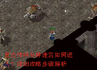 复古传神丛林迷宫如何进入?详细攻略步骤解析 复古传神丛林迷宫如何进入?详细攻略步骤解析