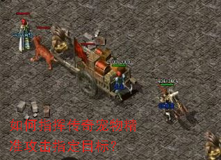 如何指挥传奇宠物精准攻击指定目标? 如何指挥传奇宠物精准攻击指定目标?
