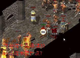 传奇道士几级增加一点道术属性点? 传奇道士几级增加一点道术属性点?
