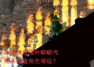 如何快速提升嘟嘟传奇手机版角色等级? 如何快速提升嘟嘟传奇手机版角色等级?