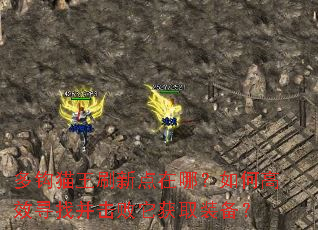 多钩猫王刷新点在哪?如何高效寻找并击败它获取装备? 多钩猫王刷新点在哪?如何高效寻找并击败它获取装备?