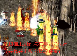 多钩猫王刷新点在哪?如何高效寻找并击败它获取装备? 多钩猫王刷新点在哪?如何高效寻找并击败它获取装备?